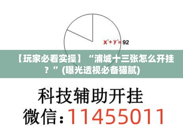 【玩家必看实操】“浦城十三张怎么开挂？”(曝光透视必备猫腻)